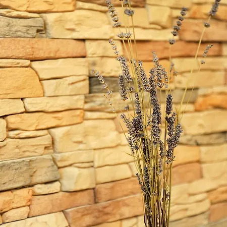 Apartment Little Cosy Zadar