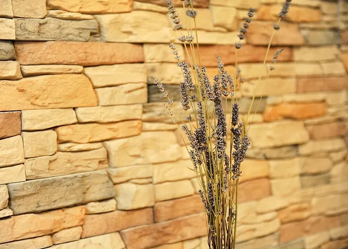 Apartman Little Cosy Zadar